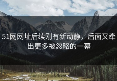 51网网址后续刚有新动静，后面又牵出更多被忽略的一幕