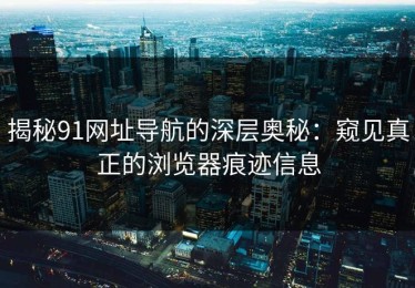 揭秘91网址导航的深层奥秘：窥见真正的浏览器痕迹信息
