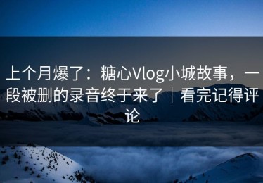 上个月爆了：糖心Vlog小城故事，一段被删的录音终于来了｜看完记得评论