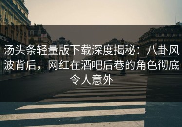 汤头条轻量版下载深度揭秘：八卦风波背后，网红在酒吧后巷的角色彻底令人意外