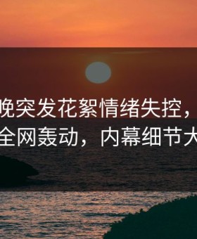明星昨晚突发花絮情绪失控，51爆料引发全网轰动，内幕细节大揭秘