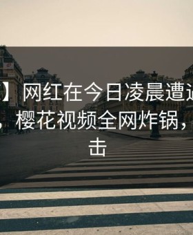 【震惊】网红在今日凌晨遭遇真相真相大白，樱花视频全网炸锅，详情点击