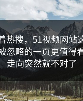 别只盯着热搜，51视频网站这份名单里那个被忽略的一页更值得看，整个走向突然就不对了