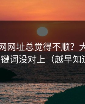 你用51网网址总觉得不顺？大概率是搜索关键词没对上（越早知道越好）