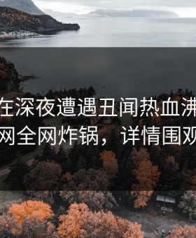 神秘人在深夜遭遇丑闻热血沸腾，91网全网炸锅，详情围观
