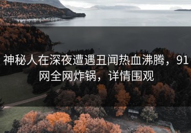 神秘人在深夜遭遇丑闻热血沸腾，91网全网炸锅，详情围观